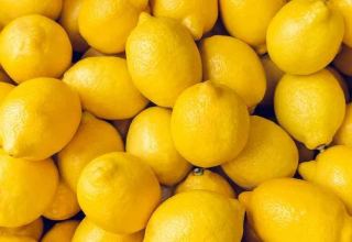 Kyrgyzstan's citrus fruits imports up