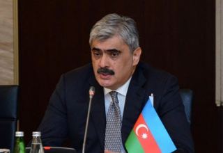 Azerbaijan's economy exposed to external negative factors - minister