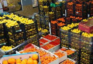 Iran’s TPO sees decrease in country’s agricultural exports