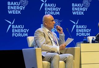 Development of Azerbaijan's Karabakh should be based on green economy - UNDP officer