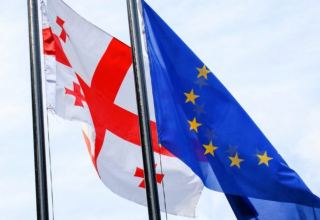 Georgian Parliament Speaker, Head of Council of Europe in Georgia discuss EU conditions candidate status