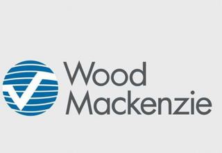WoodMac talks possible investments demand in global offshore wind industry