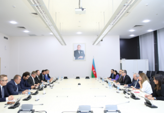 Azerbaijan, European Parliament eye investment opportunities in agriculture, tourism, energy