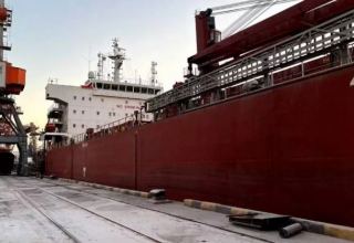 Ukraine managed to export around 8 million tons of grain by sea