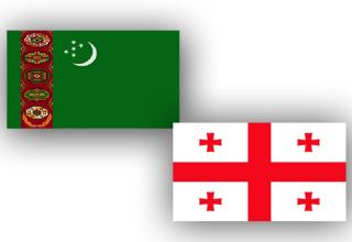 Turkmenistan and Georgia discuss strengthening of bilateral relations