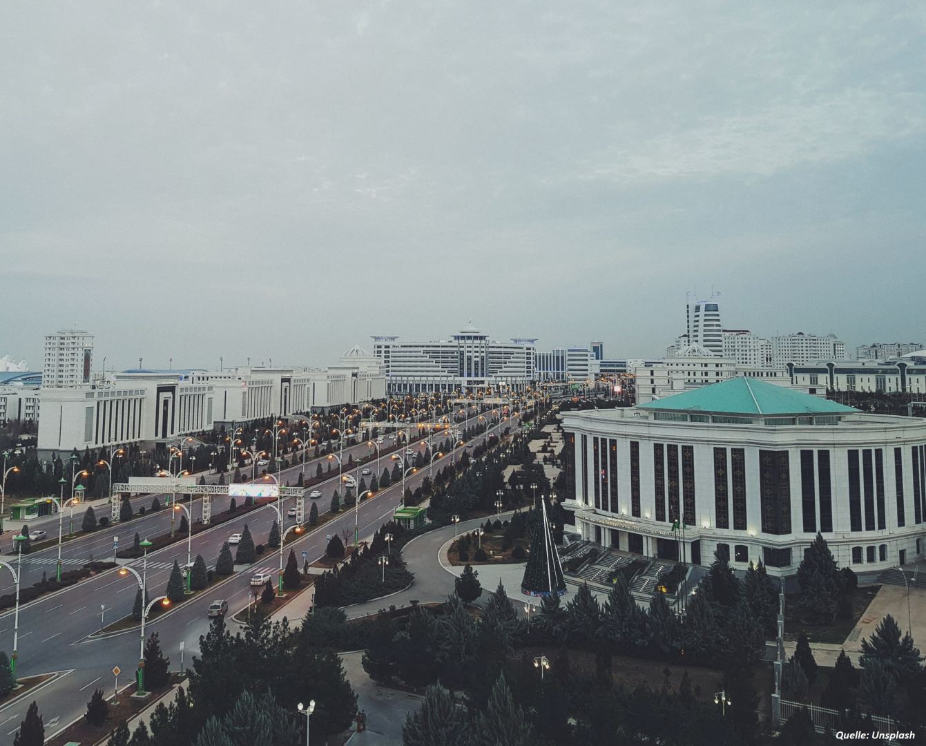 FAO provides support in increasing forest fund for Turkmenistan