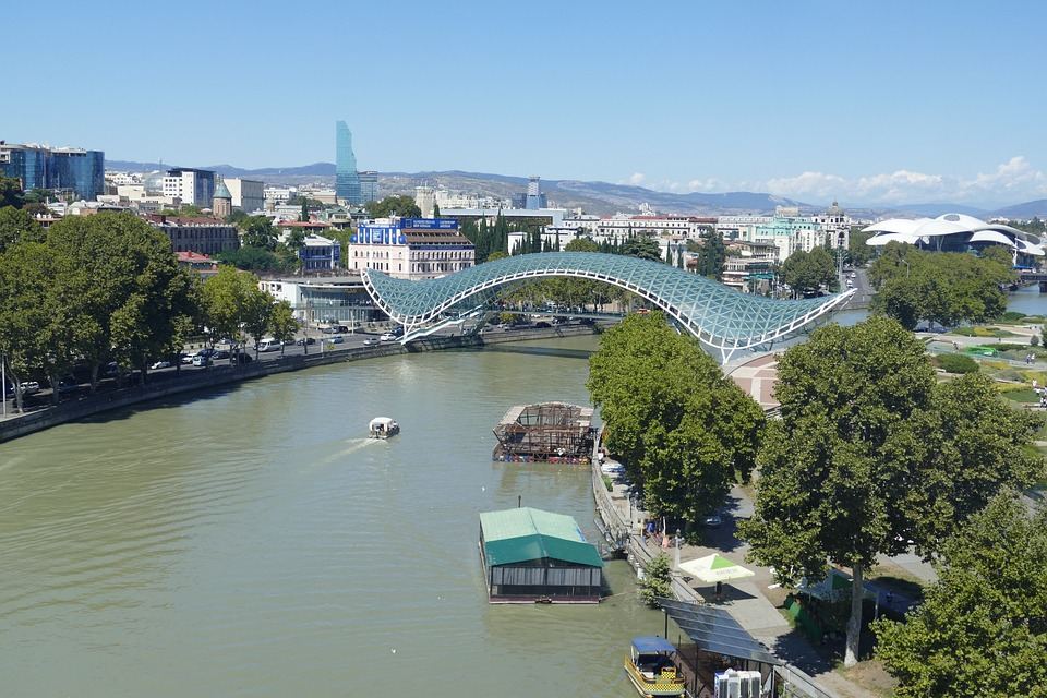 The Georgian Government’s Commission authorised to set wholesale prices for pharmaceutical products