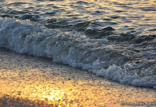 Iran boosts bony fish catching in Caspian Sea