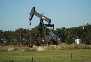 Russia unlikely to pursue strategy of continuous adjustment to oil output
