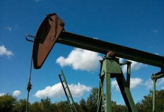 Türkiye’s state oil company TPAO plans to drill more oil rigs this year