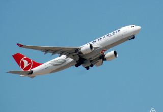 Turkish Airlines increases number of flights to Turkmenistan's Ashgabat