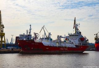 Türkiye discovers oil reserve with 100k barrel per day capacity: Erdogan