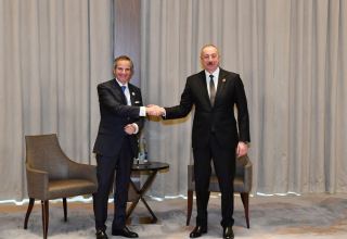 Metsamor Nuclear Power Plant creates great nuclear threat to entire region - President Ilham Aliyev