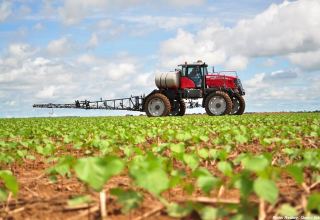 German Agricultural Society talks new idea to boost agriculture dev't in Kyrgyzstan