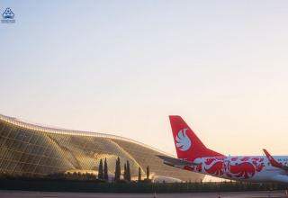 Azerbaijan's Buta Airways plane makes emergency landing at Tbilisi airport
