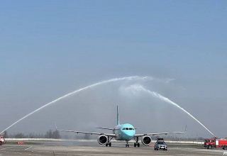 International passenger transportation via Iran’s airports increases