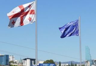 Georgian President visits Lithuania to discuss ties, Georgia’s Euro-Atlantic prospects