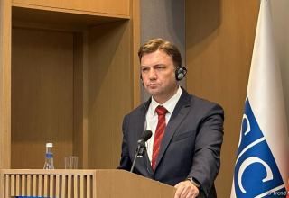 Peace between Azerbaijan and Armenia is crucial - OSCE Chairman