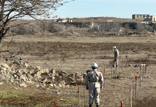 Lithuania to assist Azerbaijan in addressing mine action - MFA