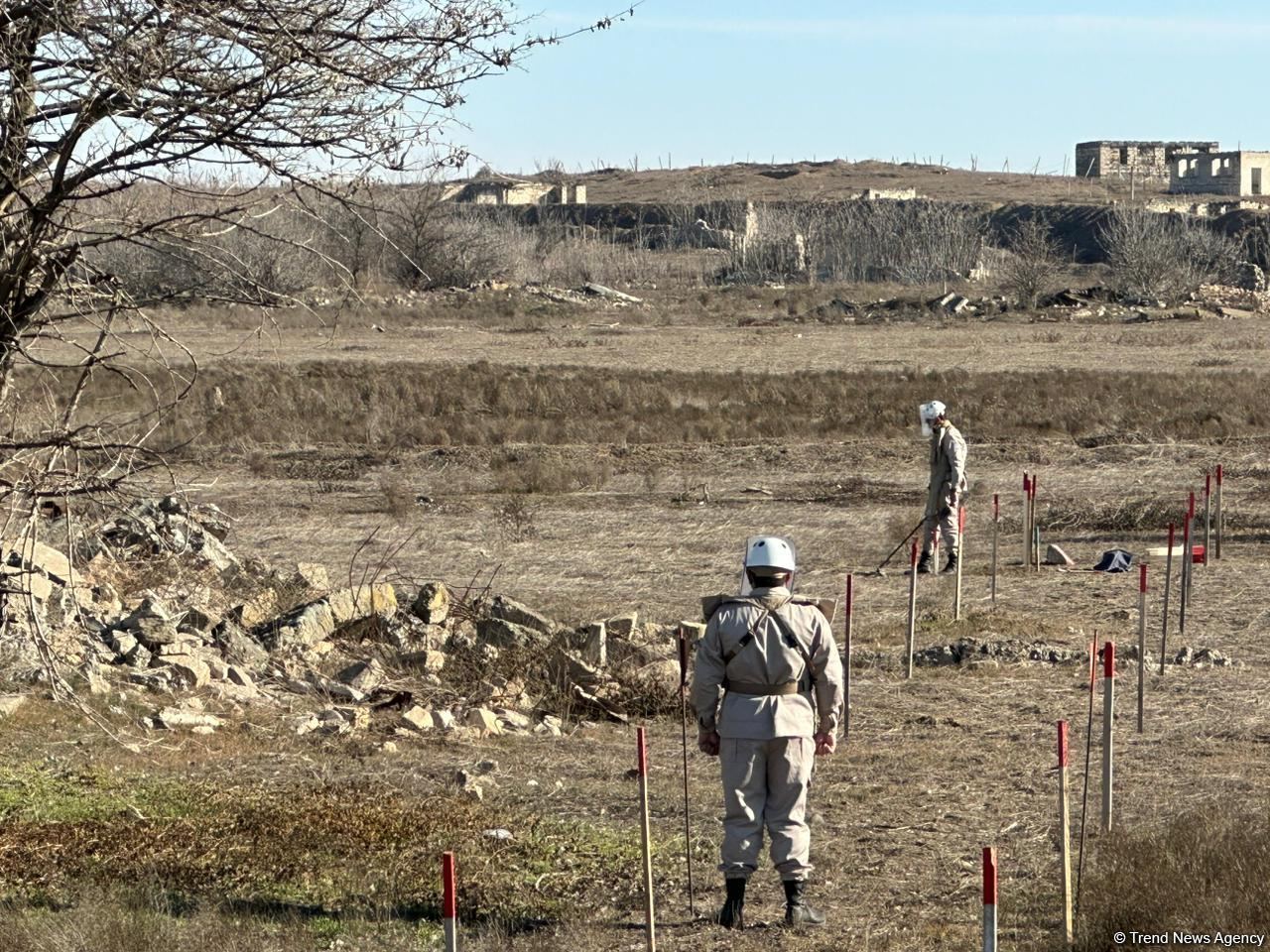 Lithuania to assist Azerbaijan in addressing mine action - MFA