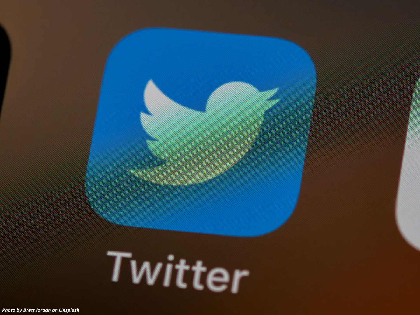 US government had full access to Twitter data, private DMs: Musk