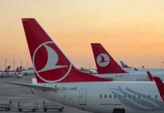 Turkish Airlines posts $233 million profit