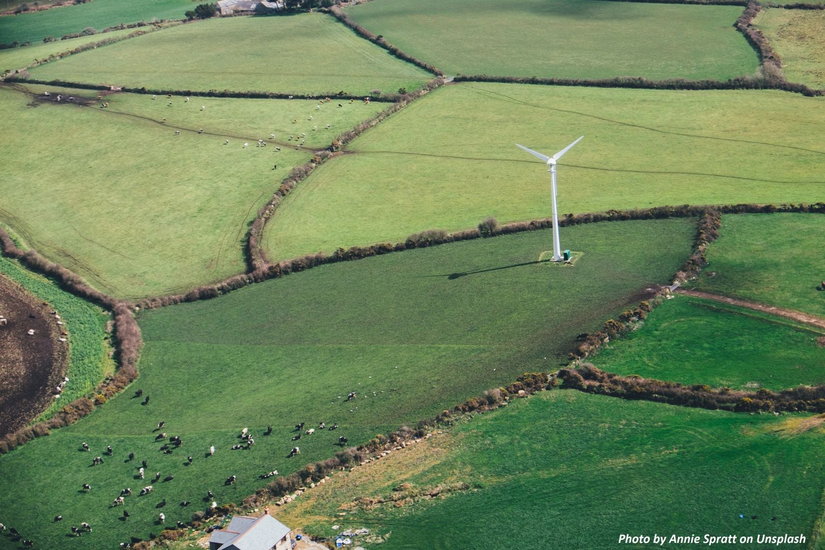 Uzbekistan's government agencies reach 50% of renewables capacity installed
