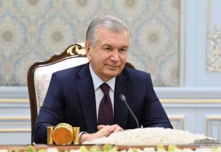 President of Uzbekistan announces early presidential elections