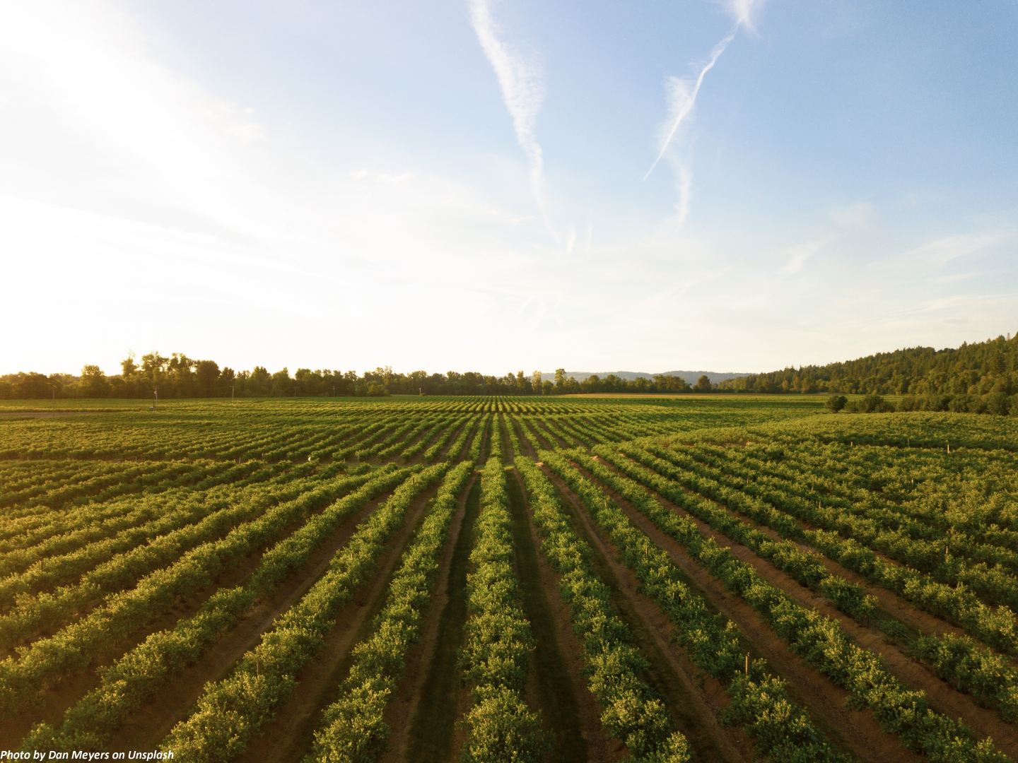 Italy, Uzbekistan in talks to implement green economy in agricultural sector