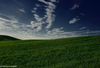 Eight countries commit to decarbonizing their domestic transport