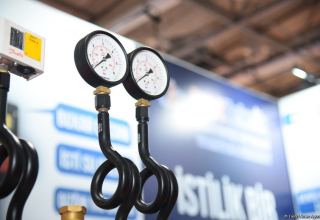 Iran may import gas from Russia – analyst