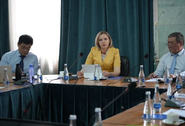 Kyrgyzstan launches green and climate finance initiative with UNDP support