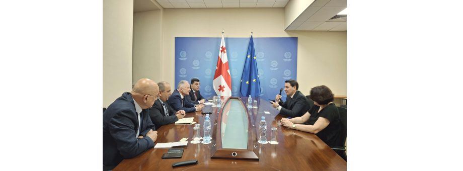 Turkmen envoy holds high-level talks at Georgian MFA