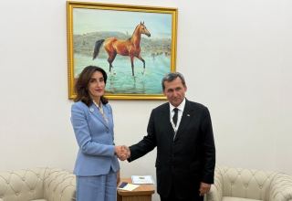 Turkmenistan and Georgia's FMs explore new paths for bilateral co-op
