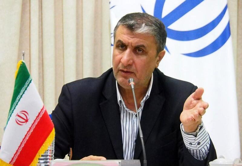 Iranian top official confirms IAEA inspectors' access to Bushehr NPP