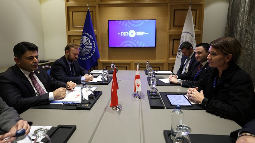 Georgia, Türkiye discuss boosting Middle Corridor trade and logistics