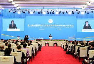 Georgia promotes exports and partnerships at China International Import Expo