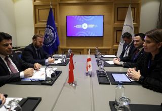 Georgia, Türkiye discuss boosting Middle Corridor trade and logistics