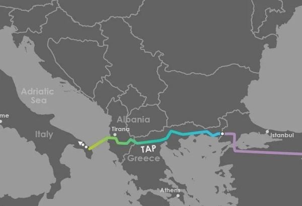 Number of companies registered to ship gas through TAP grows