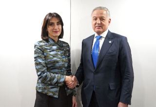Tajikistan, Georgia discuss expanding economic co-op at OSCE meeting