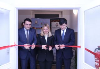 Azerbaijan strengthens diaspora institutions in Europe