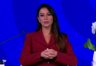 Georgia a key transit country in Southern Gas Corridor