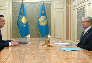 Tokayev reviews progress on Kazakhstan's new People's Council