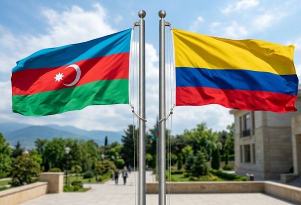 Azerbaijani Diaspora association established in Colombia